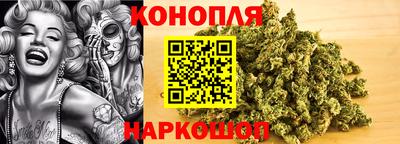 прущие крисы Будённовск