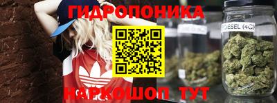 прущие крисы Будённовск