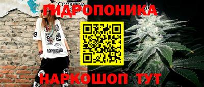 PSILOCYBIN Бугуруслан