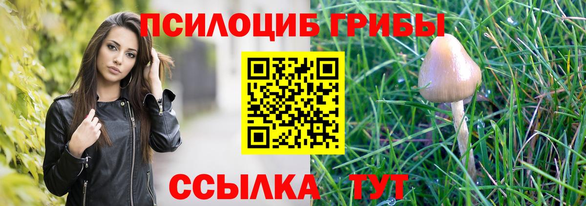 Псилоцибиновые грибы Cubensis  Вход с VPN  Троицк 